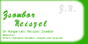 zsombor meiszel business card